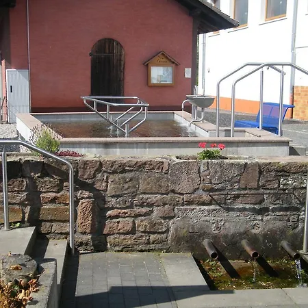 Landgasthof 'zur Quelle' 3* فيشتيرسباخ
